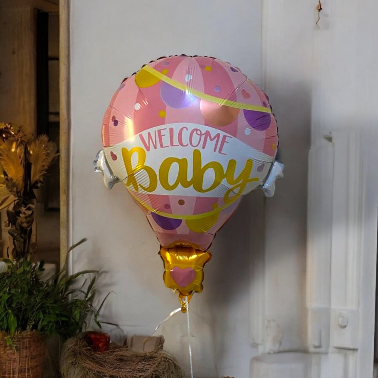 Newborn