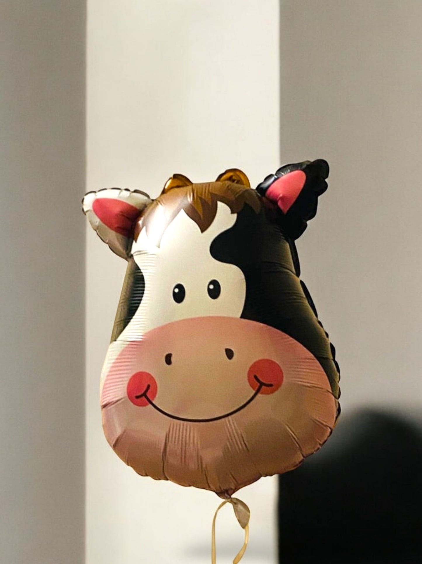 Cow / code 117