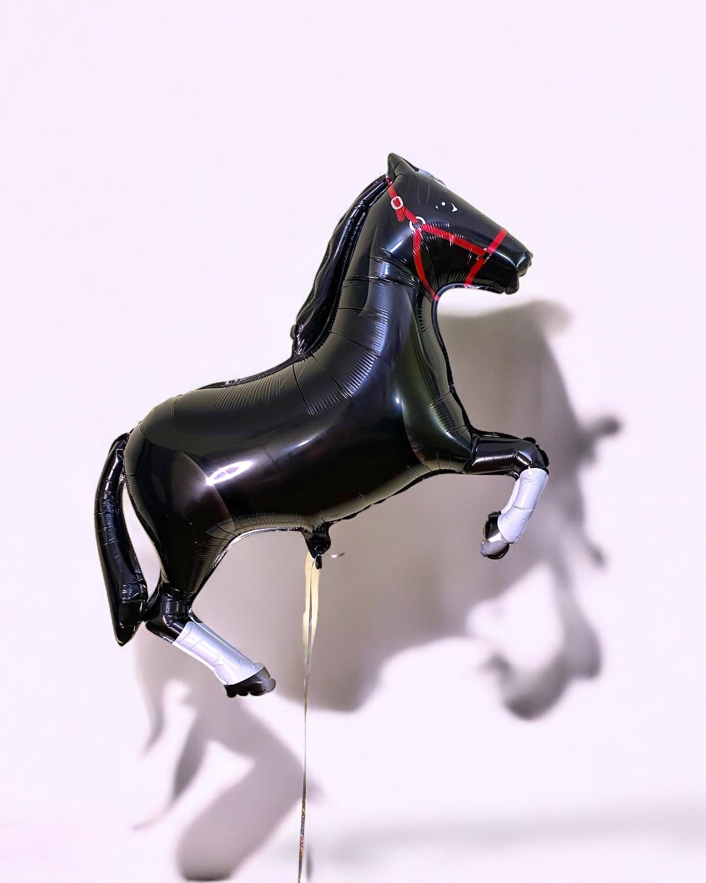 Black horse