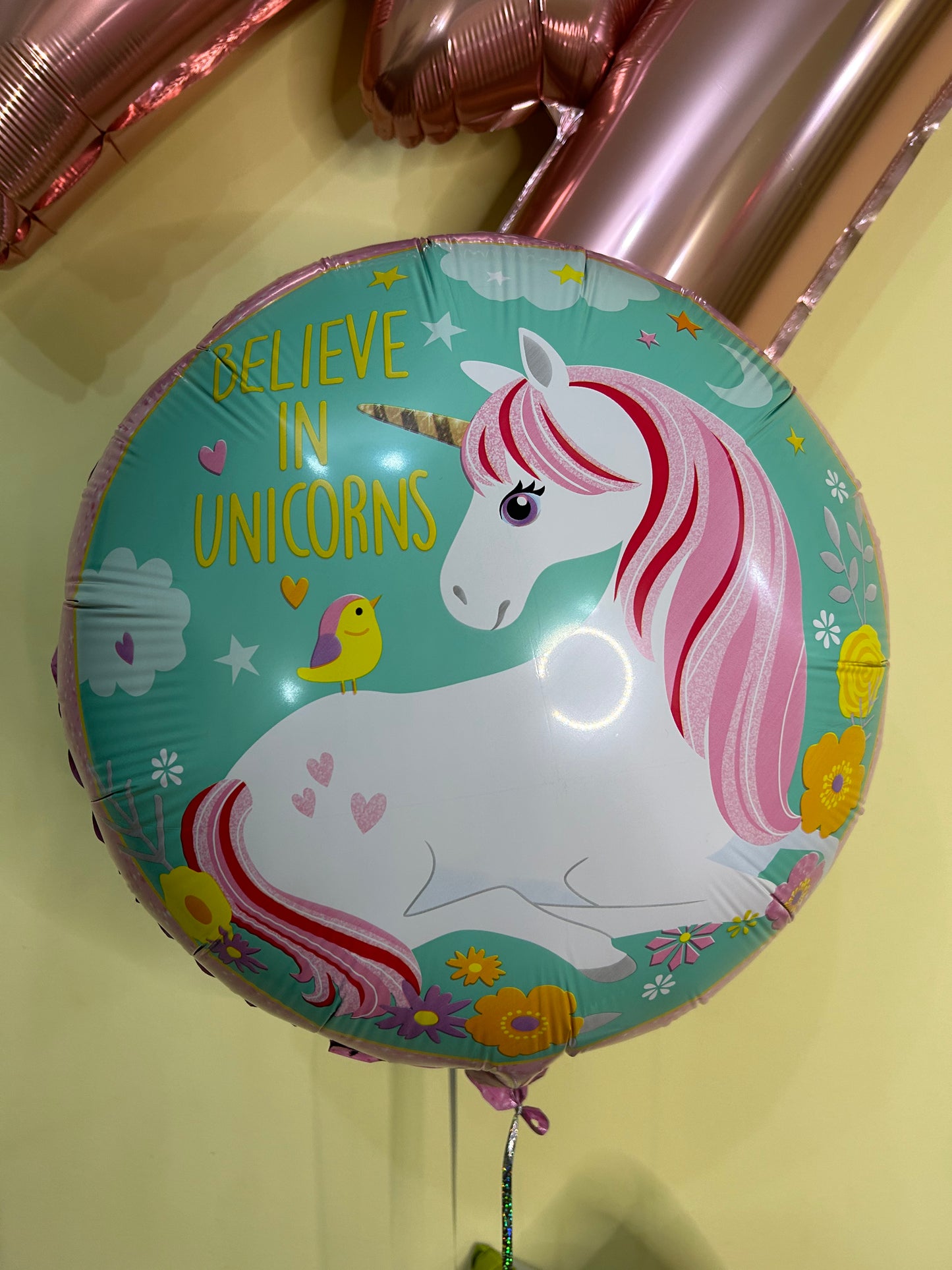 Unicorn circular