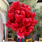 50 Red hearts Full Bouquet
